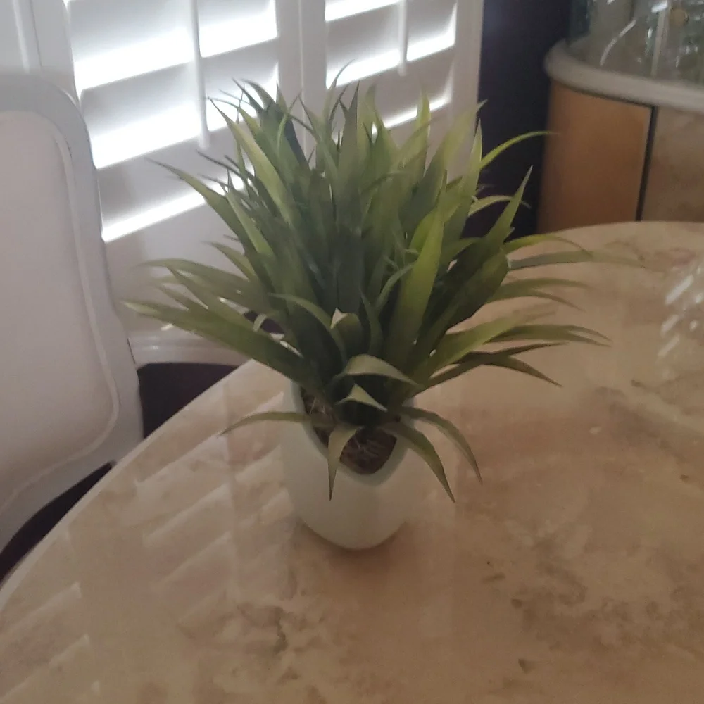 **HOST PICK**Modern Green Artificial Plant in Light Green/Cream Planter Nwot